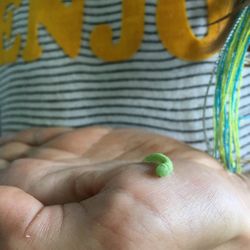 Close-up of hand holding paper