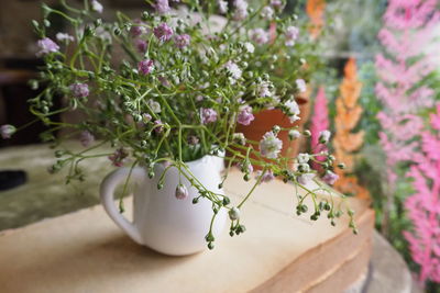 Close-up of potted plant and flower