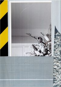 View of bird on wall