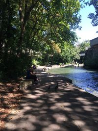 View of canal along trees