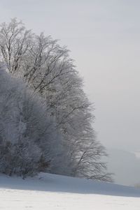 Bare tree on snow covered landscape against sky