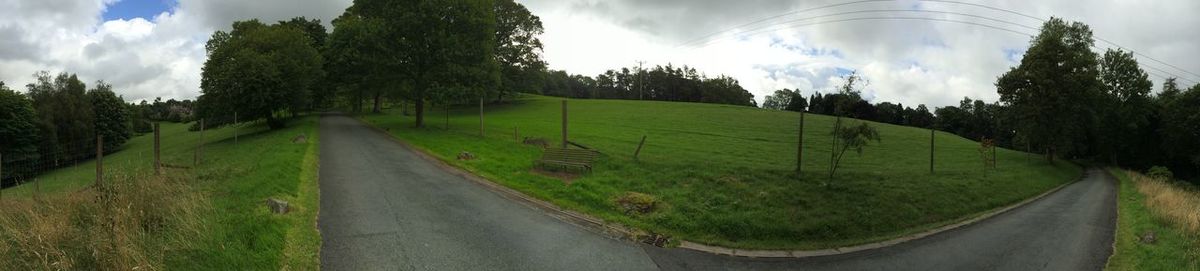 Panoramic shot of road amidst trees on field against sky