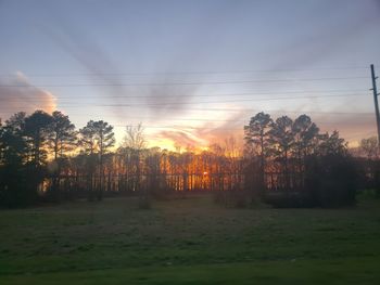 Silhouette trees on field against sky during sunset