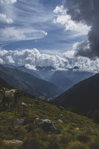 Scenic view of landscape against sky