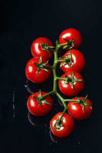 High angle view of tomatoes against black background