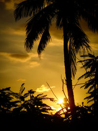 Low angle view of silhouette trees against sky during sunset