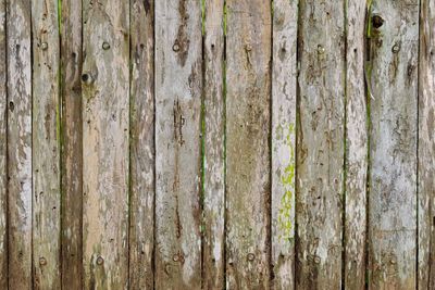 Full frame shot of wooden fence