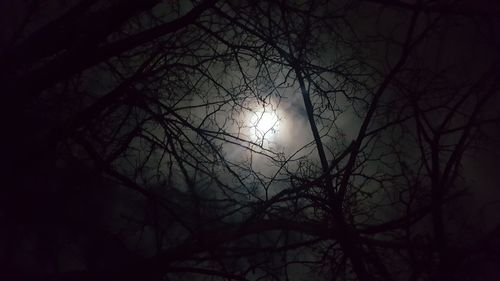 Low angle view of silhouette trees against sky