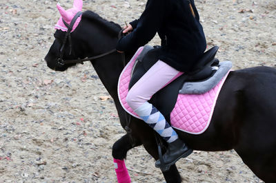 Midsection of woman riding horse on field