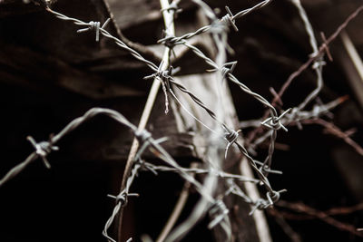 Close-up of barbed wire on fence