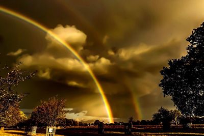 Low angle view of rainbow over trees against sky