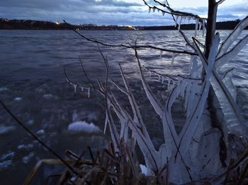 Close-up of frozen lake against sky