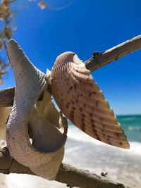 Close-up of sculpture against sea