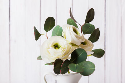 Close-up of white rose flower vase