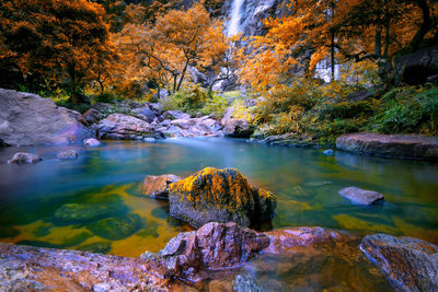 Scenic view of lake by trees during autumn