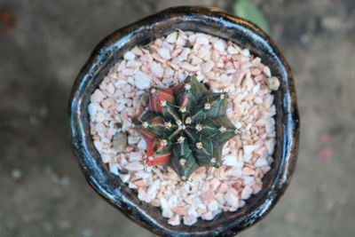 High angle view of food on table