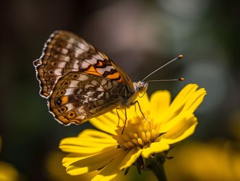 beauty in nature