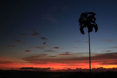 Low angle view of silhouette trees against sky during sunset