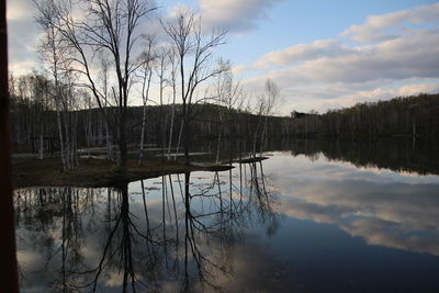 Reflection of bare trees in lake against sky