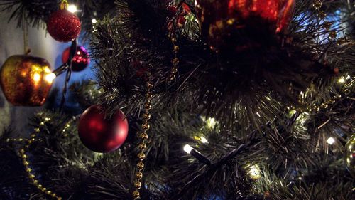 Illuminated christmas tree at night