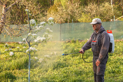 Treatment of trees from pests. fungicides and insecticides in a sprayer.