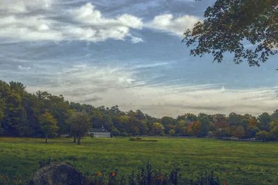 Scenic view of grassy field against cloudy sky