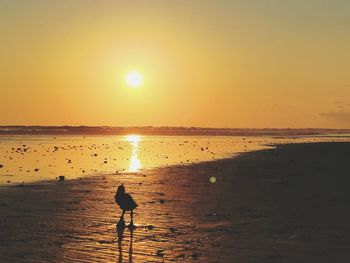 Silhouette people on beach against sky during sunset