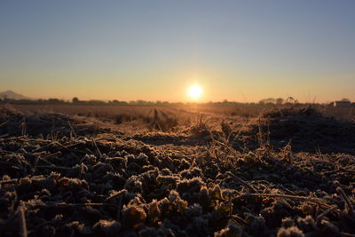 sun