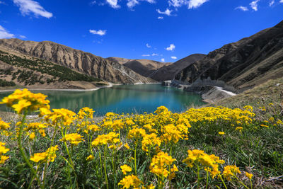 Scenic view of lake against cloudy sky