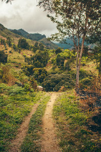 Scenic view of landscape