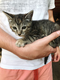 Midsection of person holding cat