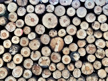 Full frame shot of logs in forest