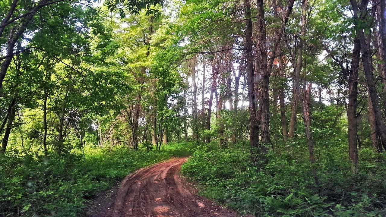 Minnesota Nature