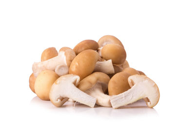 Close-up of mushrooms against white background