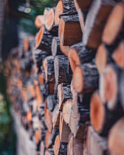 Close-up of logs