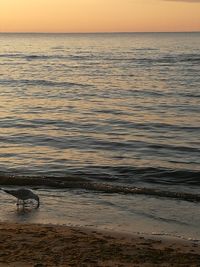 Scenic view of sea against sky at sunset