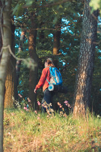 Rear view of hiker walking on footpath in forest