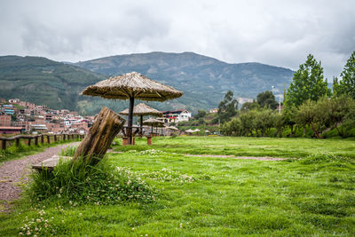 Wooden chair near grass and city background