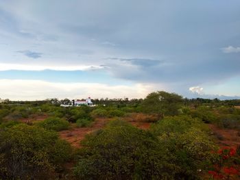 Scenic view of trees and buildings against sky