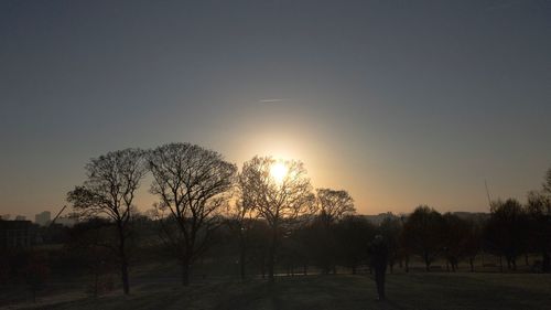 Trees against sky during sunset