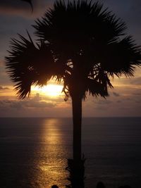 Silhouette palm tree by sea against sky at sunset