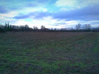 Scenic view of field against sky