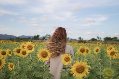 Close-up of flowering plants on field against sky