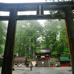 People in park against sky
