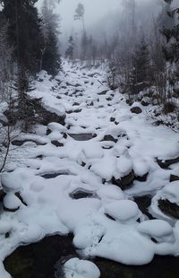 Snow covered field during winter