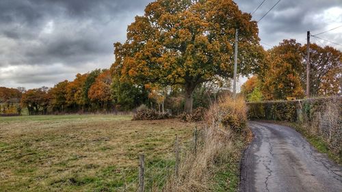 Trees on field against sky during autumn