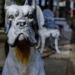 Close-up of statue