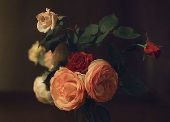 Close-up of rose bouquet against black background