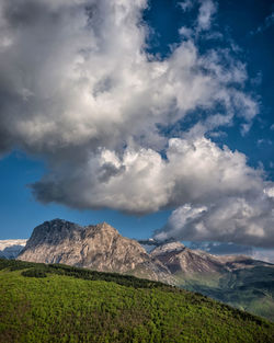 Sibillini national park - motne bove