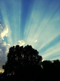 Low angle view of silhouette trees against sky